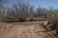 a dirt road that is near a body of water and bushes with dead trees on both sides