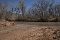 a dirt road in front of the river with trees and land behind it all in the foreground is a dirt patch and a creek