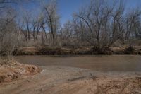 a dirt road in front of the river with trees and land behind it all in the foreground is a dirt patch and a creek