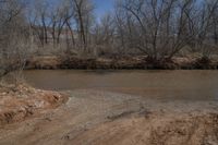 a dirt road in front of the river with trees and land behind it all in the foreground is a dirt patch and a creek