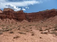 a desert area with dirt, rocks and sparse grass all around it and a bright blue sky