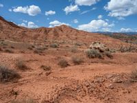 Capitol Reef, Utah: A Scenic View of the Landscape