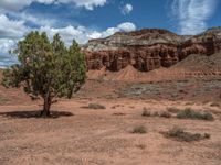 Capitol Reef, Utah: Off-Road Adventure