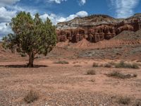 Capitol Reef, Utah: Off-Road Adventure