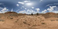 an image of a desert under a blue sky with clouds and trees in front of it