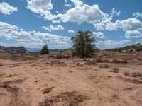 Capitol Reef, Utah: A Scenic Off-Road Track