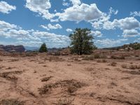 Capitol Reef, Utah: A Scenic Off-Road Track