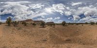 an image of some desert in the wild of australia, under a blue sky and fluffy white clouds