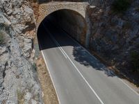 the car is driving through the tunnel near rocks and grass's edge, it is very hard to find where the lines are in the photo