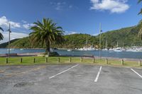 a car parking space in front of a mountain with palm trees in the foreground