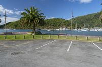 a car parking space in front of a mountain with palm trees in the foreground