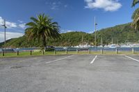 a car parking space in front of a mountain with palm trees in the foreground