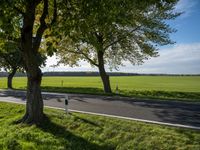 a car passing by on a rural road, with trees near it and green grass and white clouds behind