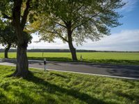 a car passing by on a rural road, with trees near it and green grass and white clouds behind