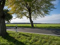 a car passing by on a rural road, with trees near it and green grass and white clouds behind