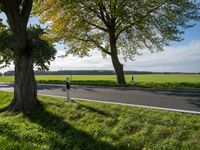 a car passing by on a rural road, with trees near it and green grass and white clouds behind