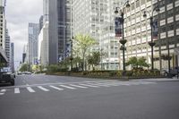 cars driving on the street in front of skyscrapers in the city by the streets with flowers