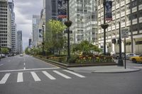 cars driving on the street in front of skyscrapers in the city by the streets with flowers