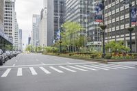 cars driving on the street in front of skyscrapers in the city by the streets with flowers