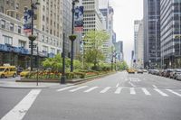 cars driving on the street in front of skyscrapers in the city by the streets with flowers