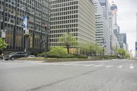 cars driving on the street in front of skyscrapers in the city by the streets with flowers