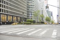 cars driving on the street in front of skyscrapers in the city by the streets with flowers