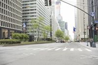 cars driving on the street in front of skyscrapers in the city by the streets with flowers