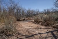 Cathedral Valley Utah Scenic Landscape 001