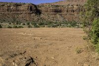 there is a person walking across a dirt field by the mountains on a sunny day