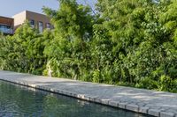 a cement pathway along the edge of a large lake in a tropical country setting with shrubs and trees lining it