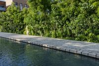 a cement pathway along the edge of a large lake in a tropical country setting with shrubs and trees lining it