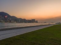 the large grassy area is next to the beach in front of the city skyline with mountains and trees