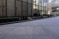 a street with large windows, and an empty sidewalk next to it are trimmed with hedges