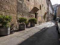 there are four planters that are near the side of an alley way with cars parked on either side