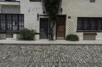 a cobblestone street leading to the entrance of an apartment building with white walls and a planter on each side