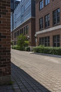 the sidewalk next to the brick building has many plants on it and many windows in the buildings