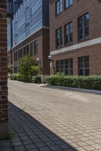 the sidewalk next to the brick building has many plants on it and many windows in the buildings