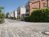 a paved sidewalk in a residential area with red brick walls, bushes, and street lights