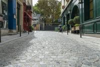 Charming Cobblestone Street in Paris