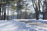 a red fire hydrant sitting in the snow near trees outside a house during wintertime