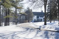 a red fire hydrant sitting in the snow near trees outside a house during wintertime