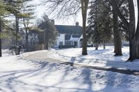 a red fire hydrant sitting in the snow near trees outside a house during wintertime