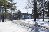 a red fire hydrant sitting in the snow near trees outside a house during wintertime