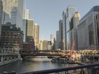 Chicago Architecture: Exploring the Cityscape of Illinois