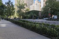Chicago Architecture: Cityscape and Skyline
