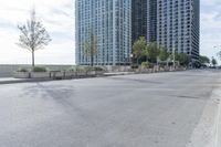 Chicago Architecture: Daytime Skyline of the City