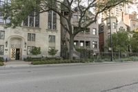 Chicago City Architecture: A Daytime View