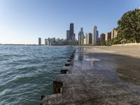 Chicago Cityscape: Clear Sky and Urban Architecture