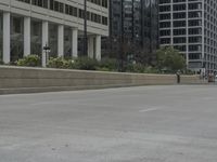 Chicago Cityscape: Dayline Skyline Views