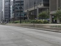 Chicago Cityscape: Dayline Skyline Views